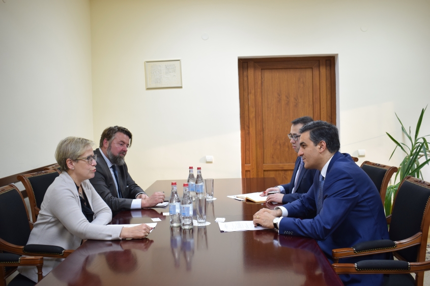 The Defender of Armenia had a meeting with the director of the OSCE Office for Democratic Institutions and Human Rights