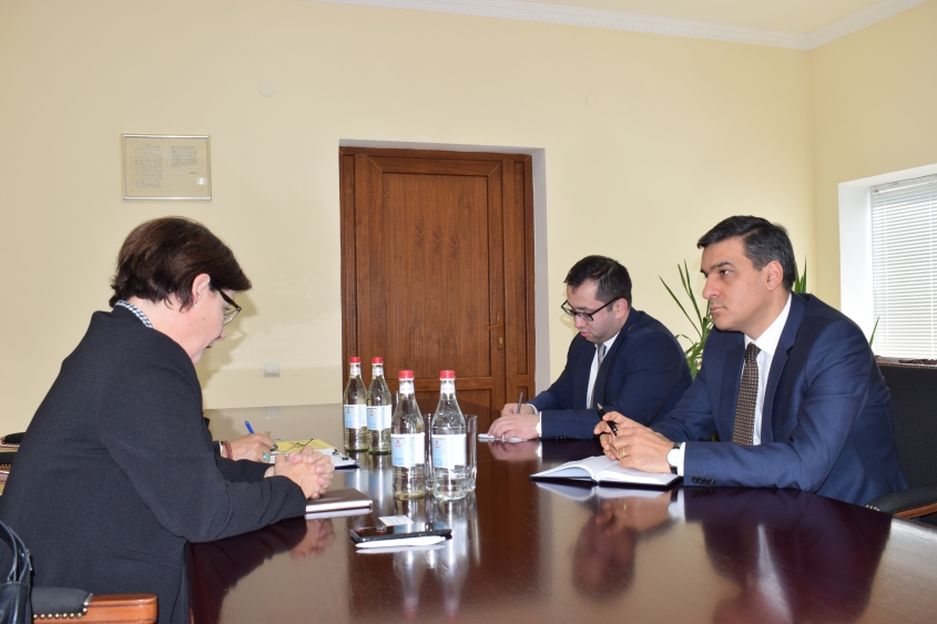 The Defender presented the results of the fact-finding activities in Tavush region to the Head of Delegation of International Committee of the Red Cross in Armenia