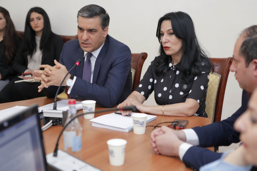 Arman Tatoyan presented the 2018 Annual Communication and Annual Report to the Standing Committee on Protection of Human Rights and Public Affairs of the National Assembly 